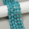 Natural Malaysia Jade Beads Strands G-D305-A01-01M-1