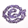 1 Strand Natural Amethyst Chip Bead Strands G-DJ0001-04-2