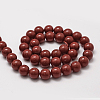 Shell Pearl Beads Strands BSHE-L026-01-8mm-2