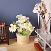 Mini Plastic Daisy Potted Plant Ornaments PW-WGEEA12-01-3