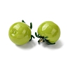 Imitation Vegetable Resin Pendants LS-RESI-K033-03B-02-2