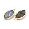 Natural Labradorite Pendants G-L514-023G-2