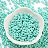 Baking Paint Glass Seed Beads SEED-A032-02C-2