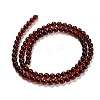 Natural Amber Beads Strands G-Z100-A02-5mm-01-3
