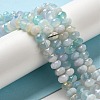 Natural Banded Agate/Striped Agate Beads Strands G-E605-A02-02F-1