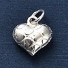 925 Sterling Silver 3D Textured Heart Charms STER-U009-10S-02-2