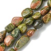 Natural Unakite Beads Strands G-G117-B03-01-1