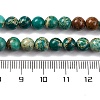 Dyed Natural Regalite/Imperial Jasper/Sea Sediment Jasper Beads Strands X-G-B124-C02-13-3