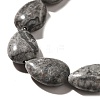 Natural Map Stone Beads Strands G-I377-A06-4