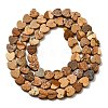 Natural Picture Jasper Beads Strands G-A272-A01-20-4