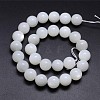 Natural White Moonstone Round Bead Strands G-M262-14mm-04-2