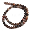 Natural Petrified Wood Round Bead Strands G-F266-08-6mm-4