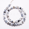 Natural Fire Crackle Agate Bead Strands X-G-K166-07F-8mm-02-2