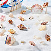 Natural Sea Shell Beads Kits SSHEL-PH0002-51-5