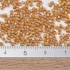 MIYUKI Delica Beads SEED-X0054-DB1778-3