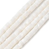Natural Freshwater Shell Beads Strands SSHEL-C013-04B-1