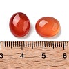 Dyed & Heated Natural Carnelian Cabochons G-G145-01A-23-3