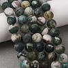 Natural Tree Agate Beads Strands G-T106-038-5