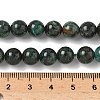 Natural Fuchsite Beads Strands G-G271-B03-8mm-5