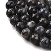 Natural Iolite Beads Strands G-E561-16-10mm-6