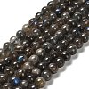 Natural Black Labradorite Beads Strands G-C205-A01-6mm-2