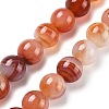 Natural Multi-Color Agate Beads Strands G-A261-B21-14mm-2