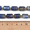 Natural Lapis Lazuli Beads Strands G-D103-A02-5