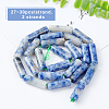 2 Strands Natural Blue Spot Jasper Beads Strands G-OC0001-87-3
