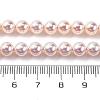 UV Plating Pearlized Glass Pearl Beads Strands GLAA-F128-01A-T09-2