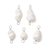 Natural Conch Shell Connector Charms PALLOY-JF02812-01-1