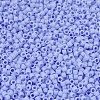MIYUKI Delica Beads X-SEED-J020-DB1587-3