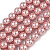 Electroplated Shell Pearl Beads Strands X-BSHE-G041-8mm-05-1