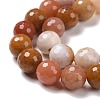 Natural Petrified Wood Beads Strands G-E571-15C-4