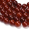 Natural Carnelian Beads Strands GG-CBA1CAF-A01-14mm-3