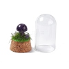 Natural Amethyst Mushroom Display Decoration with Glass Dome Cloche Cover G-E588-03H-4