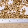 MIYUKI Delica Beads Small SEED-X0054-DBS0181-4