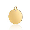 Ion Plating(IP) 304 Stainless Steel Pendants X-STAS-I311-32G-G-1