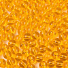 FGB Transparent Glass Seed Beads SEED-N013-01B-11-3
