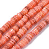 Natural Freshwater Shell Beads Strands SHEL-S278-025H-1