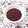 MIYUKI Delica Beads SEED-MY11-DB2119-2