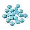 Synthetic Turquoise Cabochons G-P393-R64-12MM-1