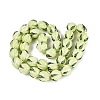 Handmade Lampwork Beads LAMP-Q039-18F-2