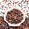 Glass Seed Beads SEED-N007-13P-2