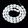 Natural Trochid Shell/Trochus Shell Beads Strands SSHEL-S266-022-2
