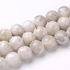 Faceted Natural Agate Round Bead Strands G-L383-11-10mm-1