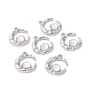 Alloy Micro Pave Clear Cubic Zirconia Pendants PALLOY-F285-02P-3