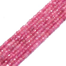 Natural Pink Tourmaline Beads Strands G-P457-B01-02B