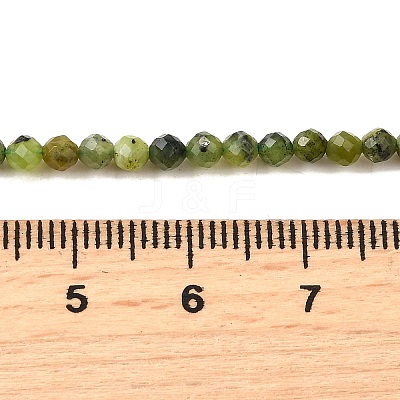 Natural Canadian Jade Beads Strands G-G259-D01-3mm-1