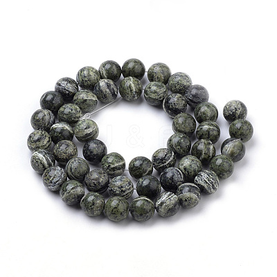 Natural Green Zebra Jasper Beads Strands G-S259-34-8mm-1