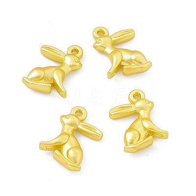 Rack Plating Alloy Charms FIND-G045-30MG-1